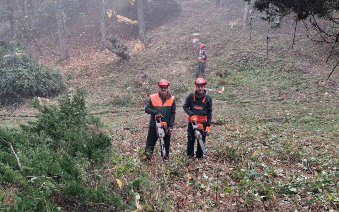 Terenska nastava u Arboretumu Lisičine