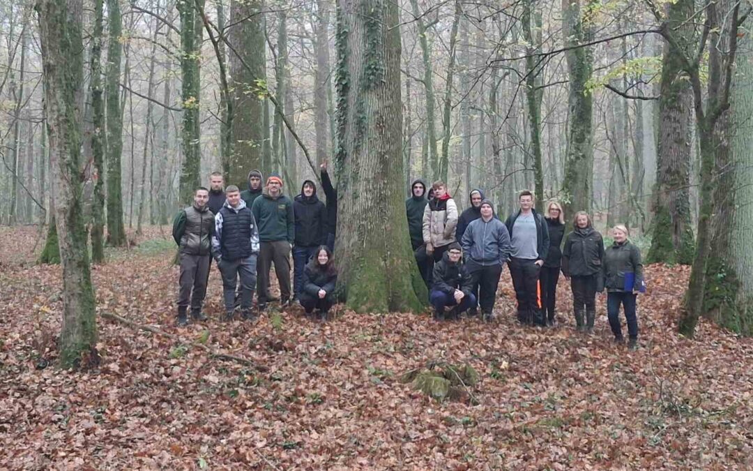 Posjet sjemenskoj sastojini hrasta lužnjaka u Šumariji Grubišno Polje