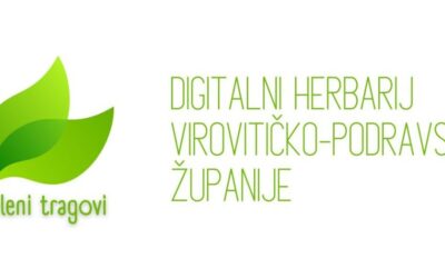 Tehničkoj školi Virovitica odobrena sredstva za projekt „Zeleni tragovi – digitalni herbarij Virovitičko-podravske županije“