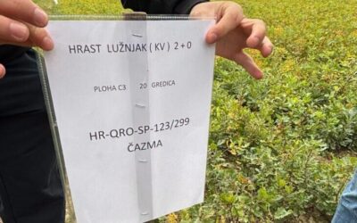 Budući šumari na terenskoj nastavi u rasadniku Zdenački gaj
